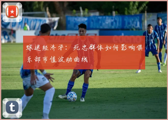 球迷经济学：死忠群体如何影响俱乐部市值波动曲线